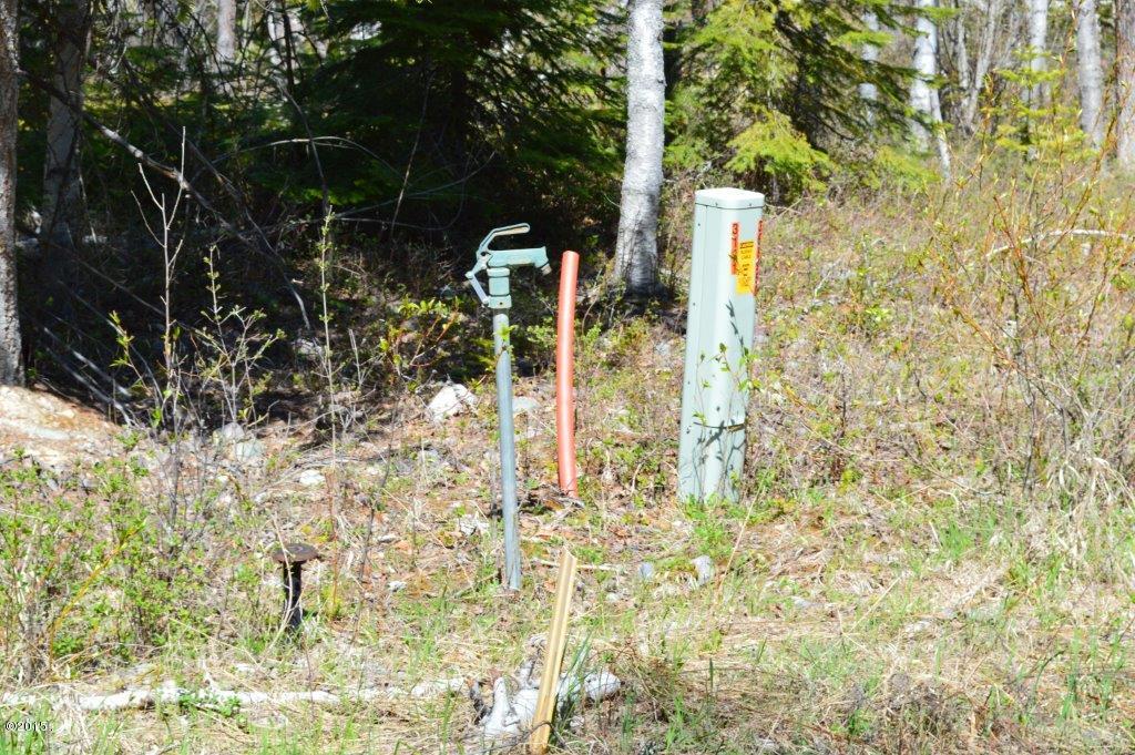 93 Drewry Lane, Columbia Falls, MT 59912