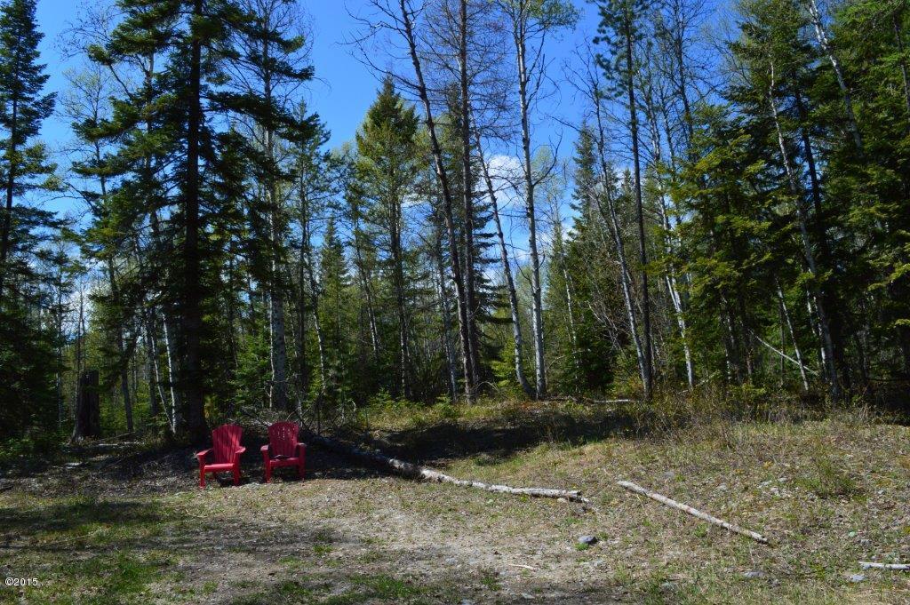 93 Drewry Lane, Columbia Falls, MT 59912