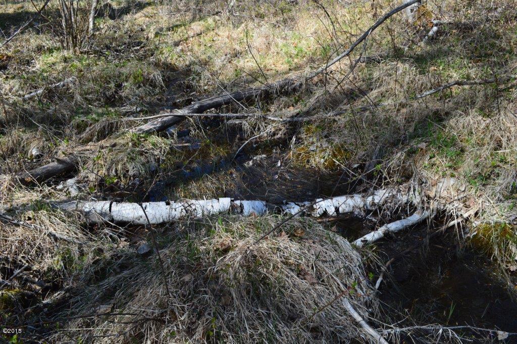 93 Drewry Lane, Columbia Falls, MT 59912