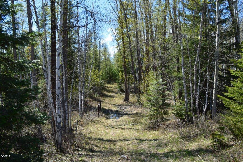 93 Drewry Lane, Columbia Falls, MT 59912
