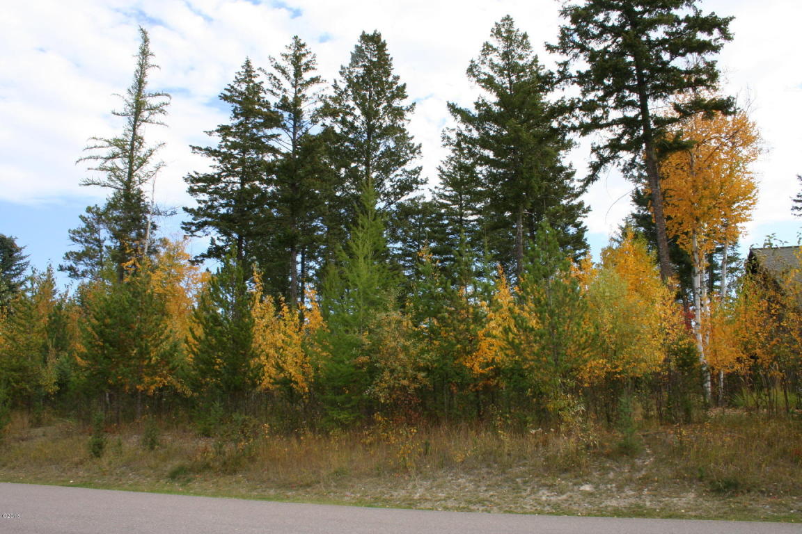 1006 Saint Andrews Drive, Columbia Falls, MT 59912