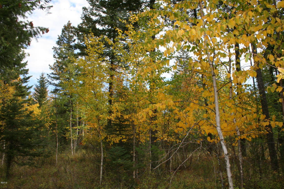 1006 Saint Andrews Drive, Columbia Falls, MT 59912