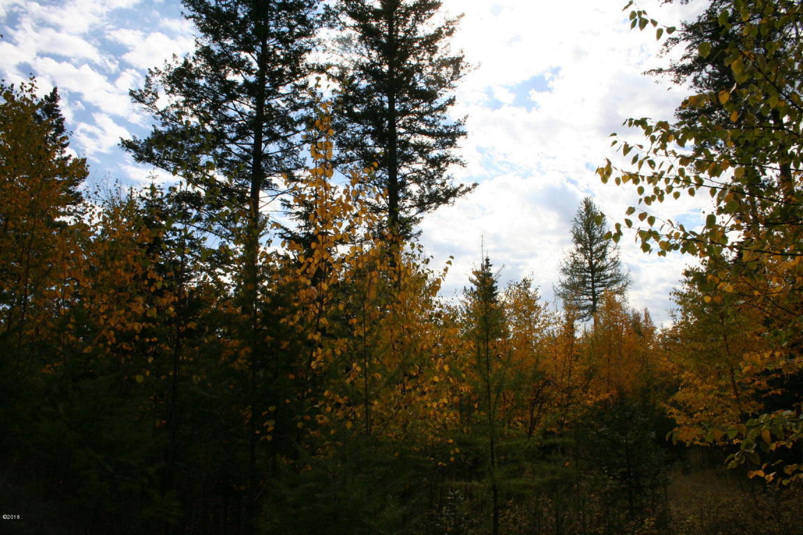 1006 Saint Andrews Drive, Columbia Falls, MT 59912