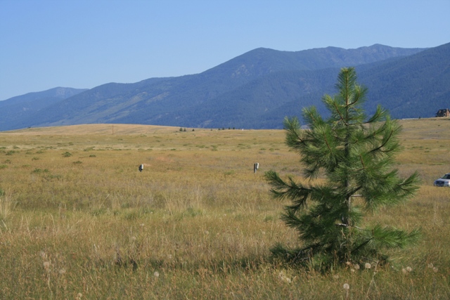 NHN AIRPORT ROAD, Eureka, MT 59917
