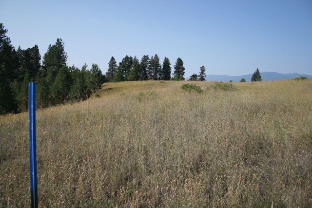 NHN AIRPORT ROAD, Eureka, MT 59917