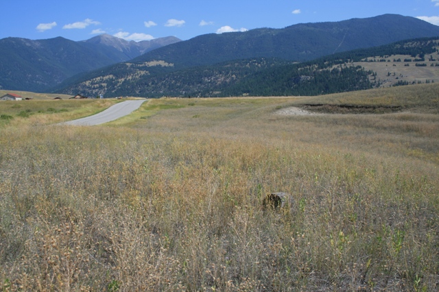 NHN AIRPORT ROAD, Eureka, MT 59917