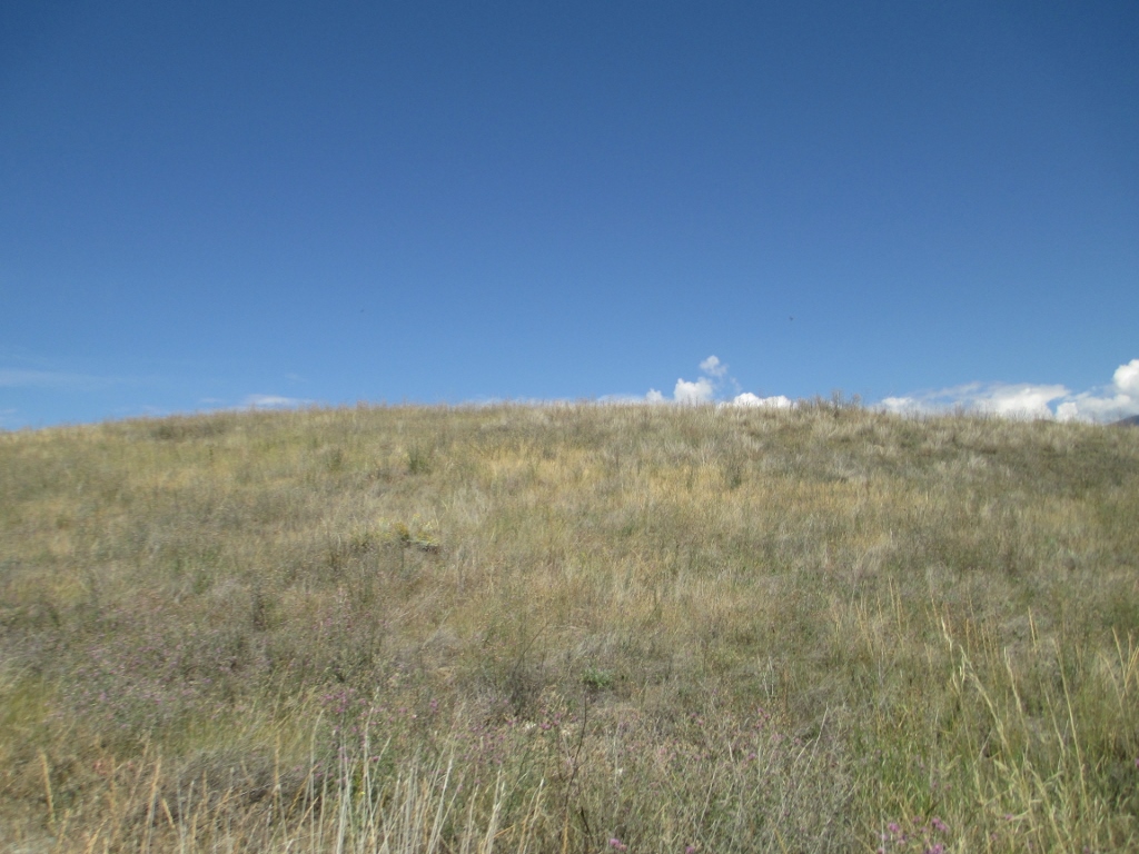NHN HOLLENBACK CIRCLE, Eureka, MT 59917