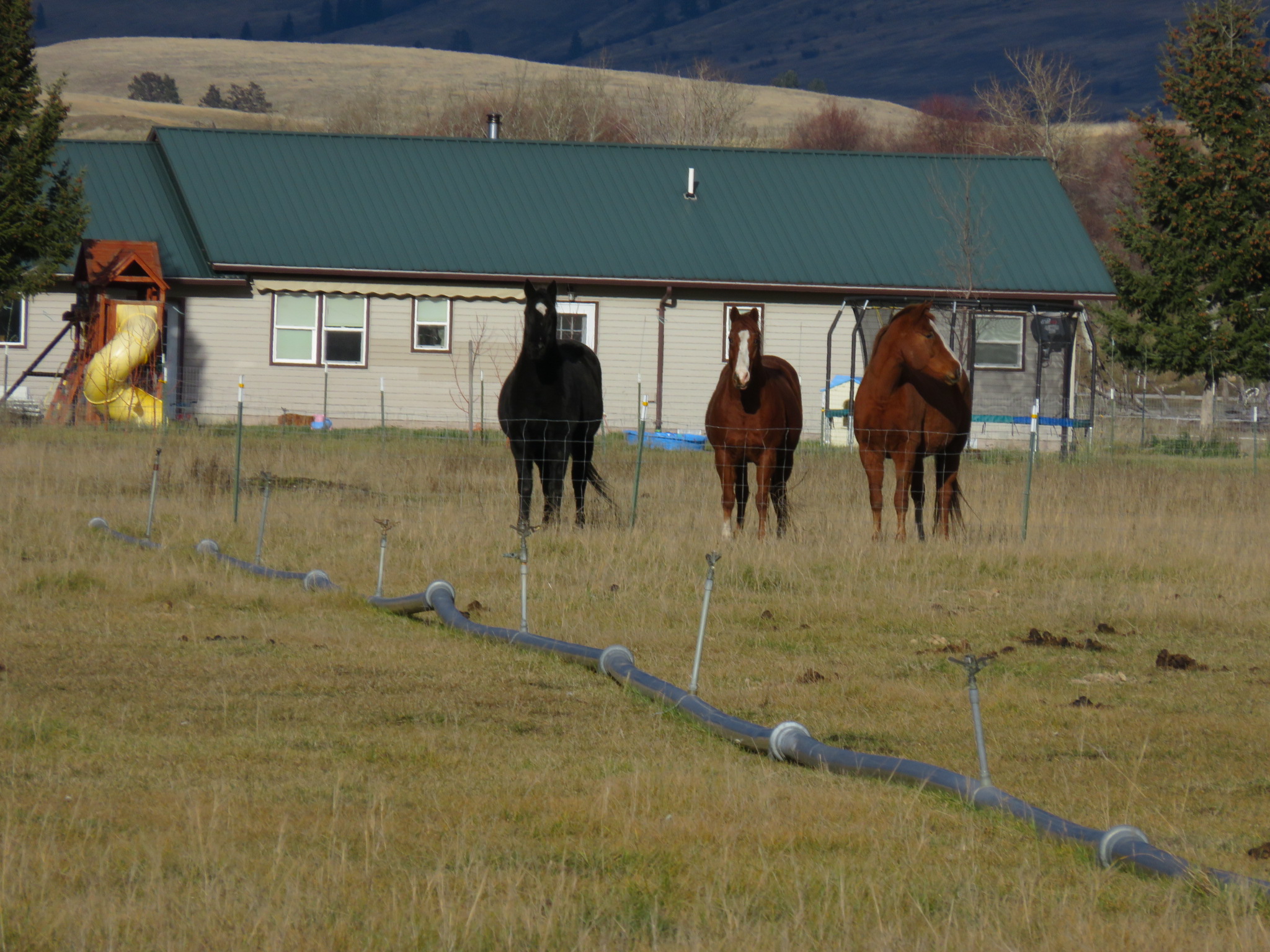 NHN Boundary Street, Eureka, MT 59917