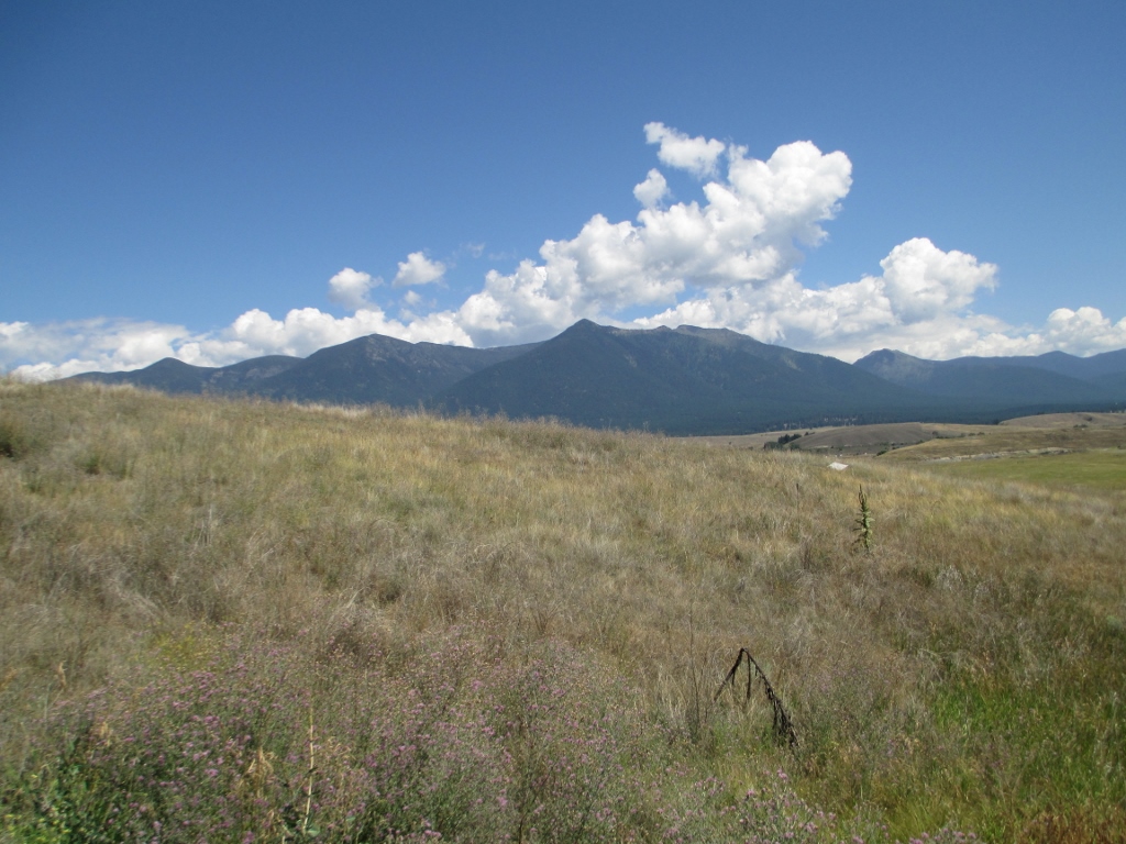 NHN HOLLENBACK CIRCLE, Eureka, MT 59917