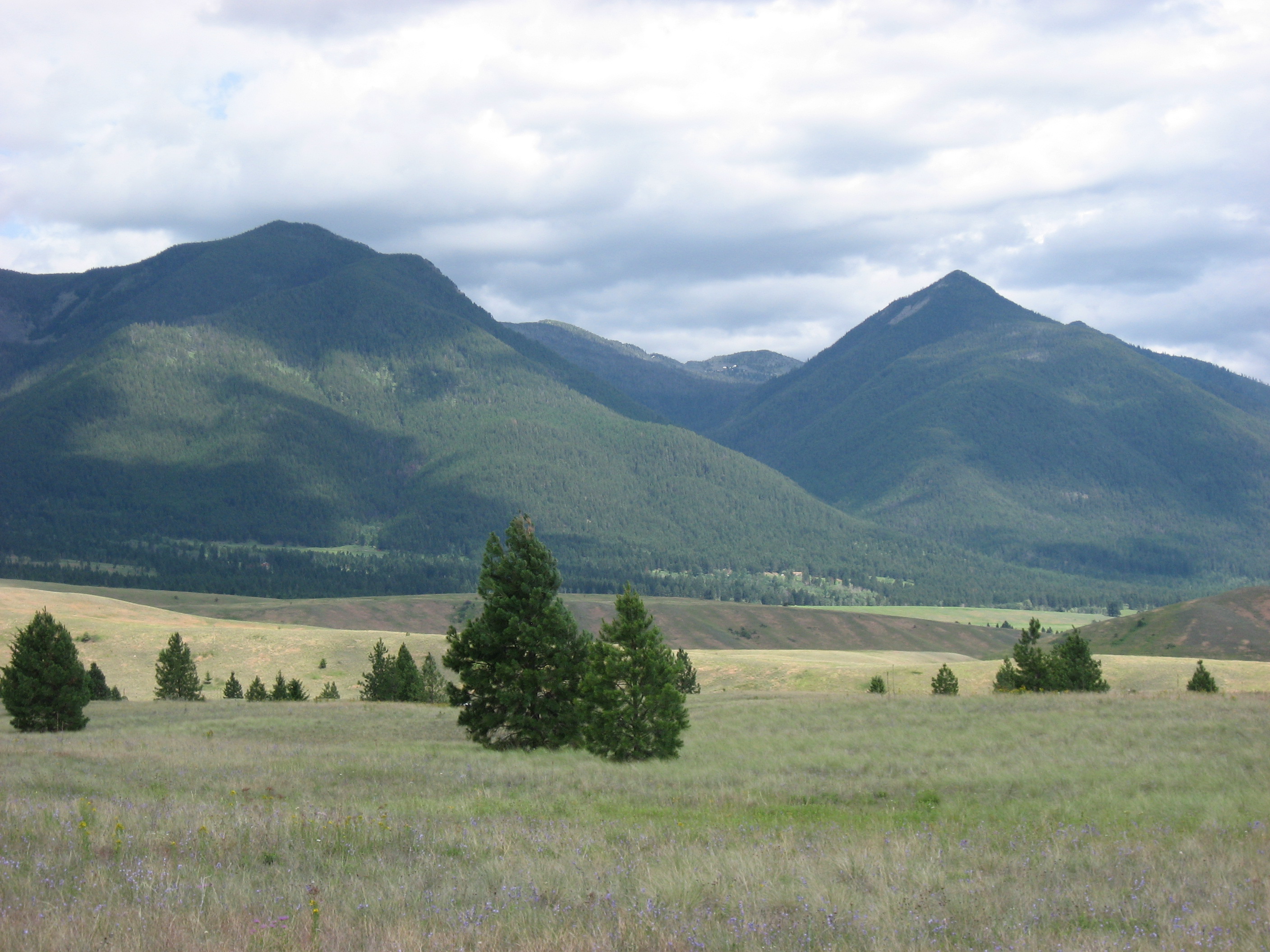 Eureka, MT 59917