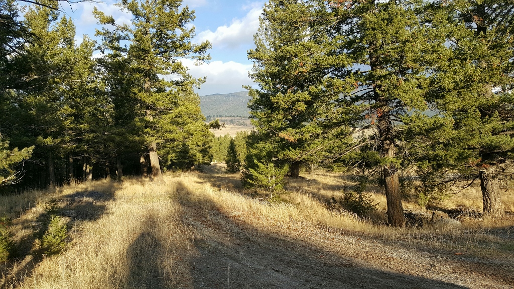 Lot 4 Three Elk Ridge, Eureka, MT 59917