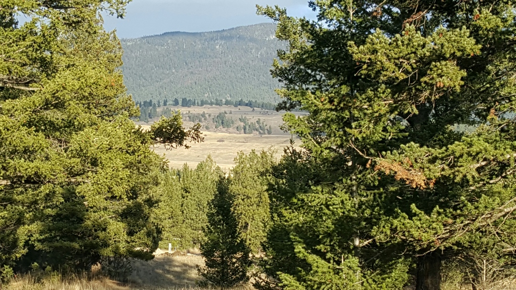 Lot 5 Three Elk Ridge, Eureka, MT 59917