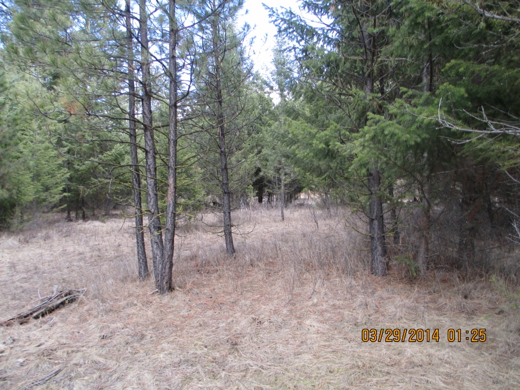 LOT 4 ROCK LAKE ESTATES, Eureka, MT 59917