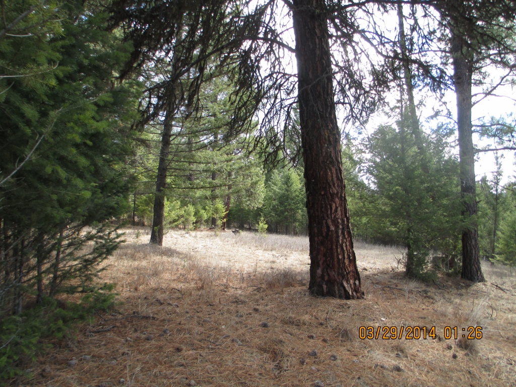 LOT 4 ROCK LAKE ESTATES, Eureka, MT 59917