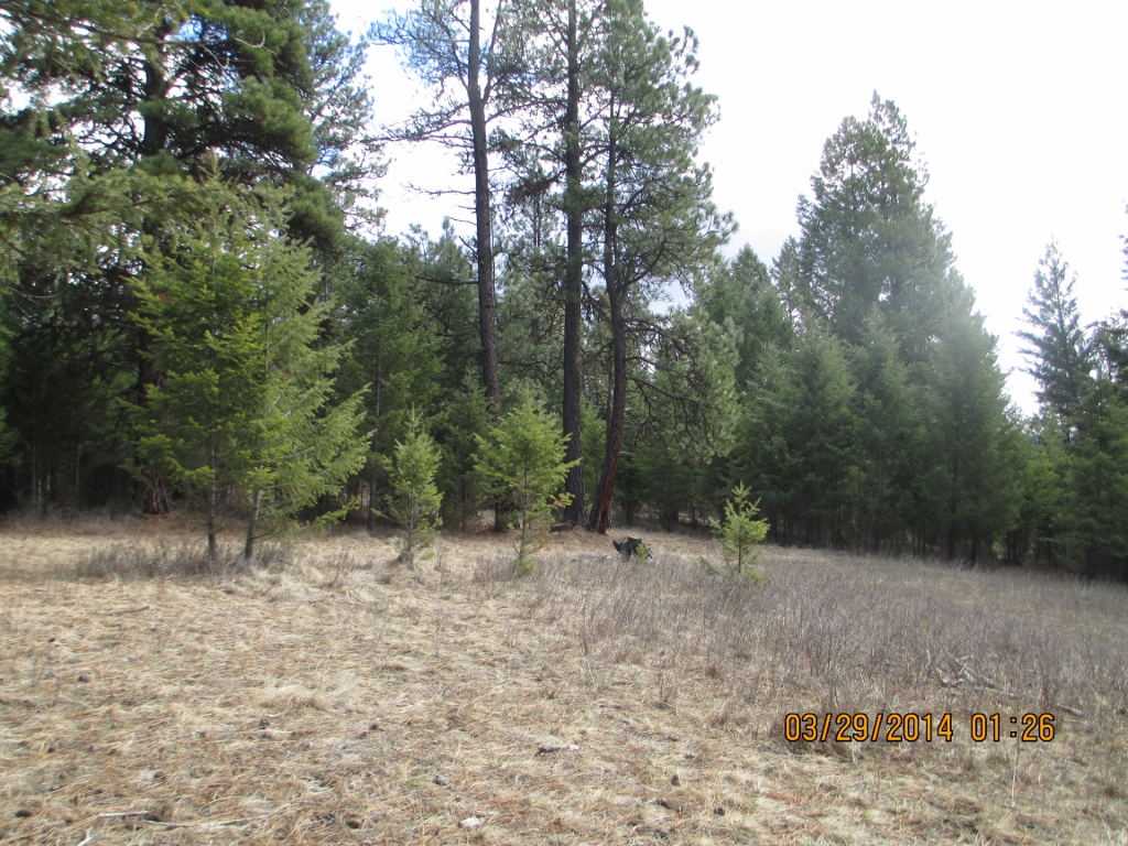 LOT 4 ROCK LAKE ESTATES, Eureka, MT 59917