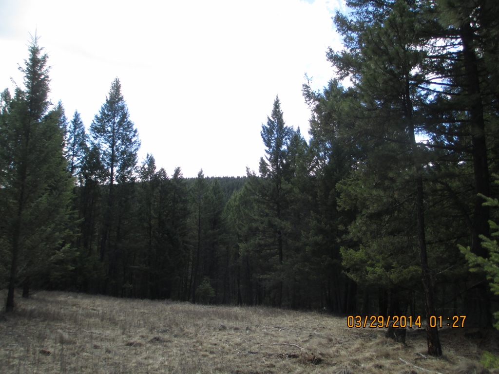 LOT 4 ROCK LAKE ESTATES, Eureka, MT 59917