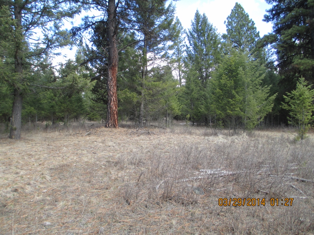 LOT 4 ROCK LAKE ESTATES, Eureka, MT 59917