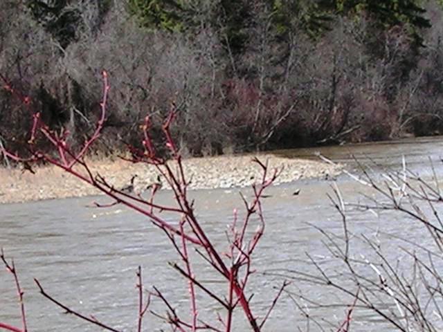 nhn River Drive, Eureka, MT 59917