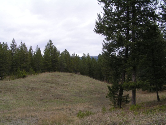 NHN CASTLEVIEW LANE, Eureka, MT 59917