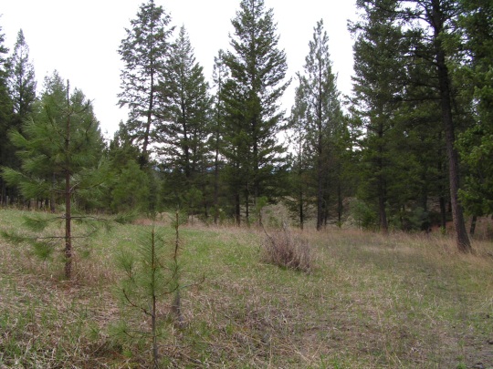 NHN CASTLEVIEW LANE, Eureka, MT 59917