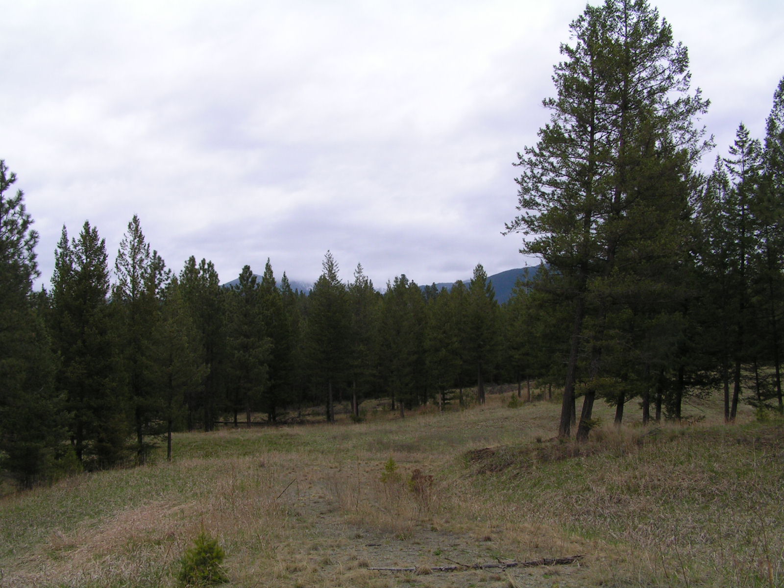 NHN CASTLEVIEW LANE, Eureka, MT 59917