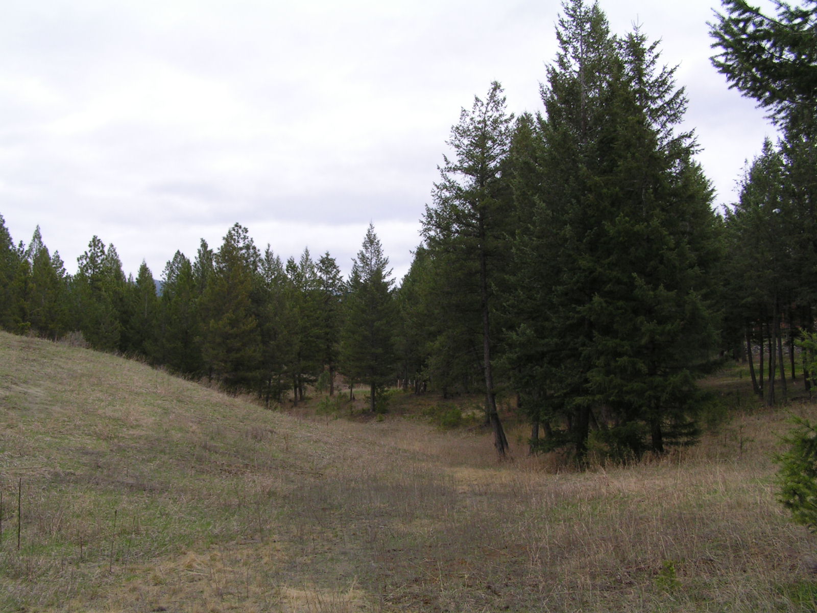 NHN CASTLEVIEW LANE, Eureka, MT 59917