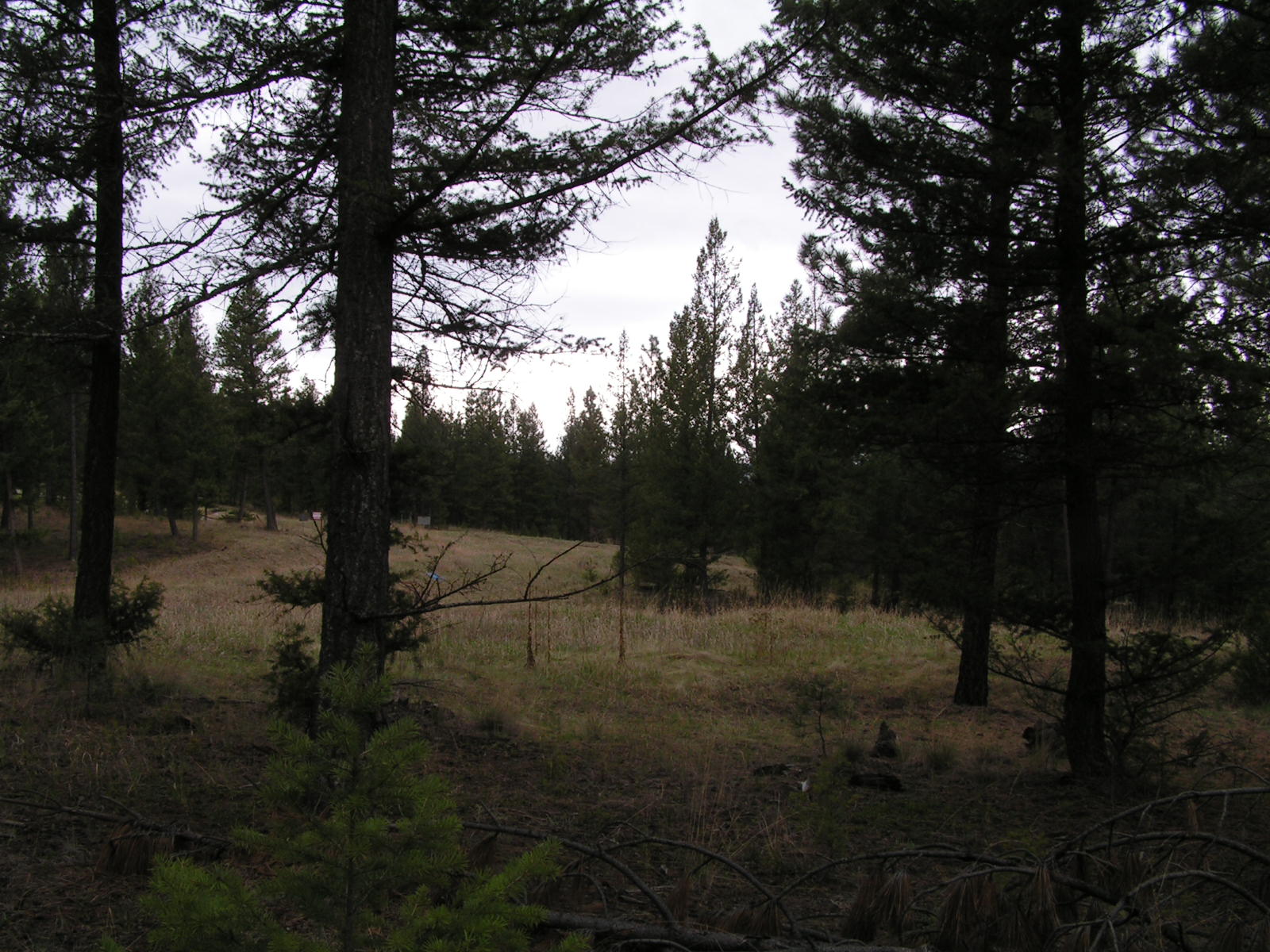 NHN CASTLEVIEW LANE, Eureka, MT 59917