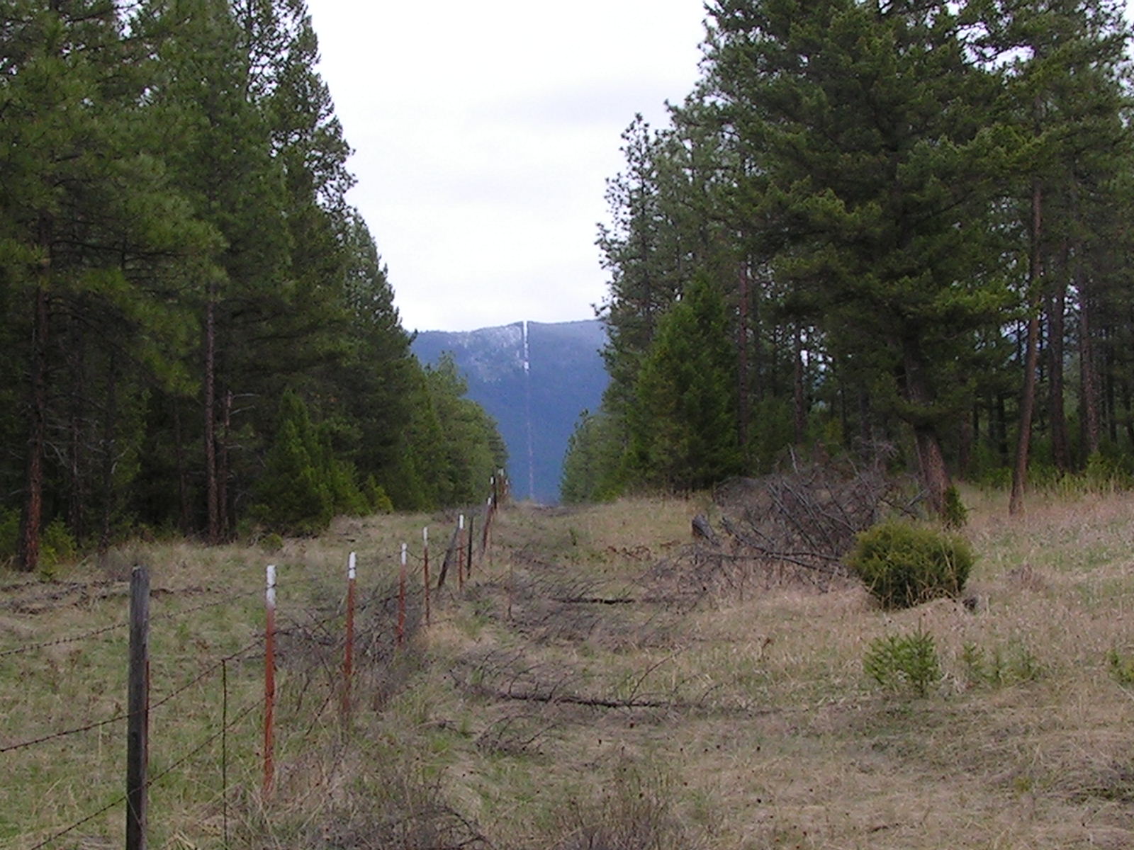 NHN CASTLEVIEW LANE, Eureka, MT 59917