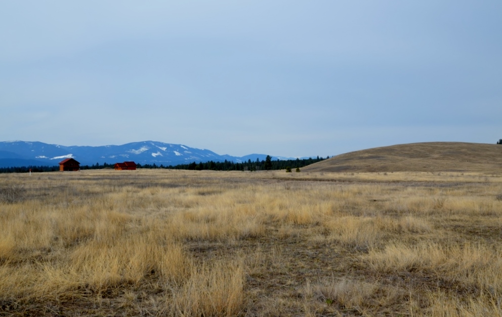 NHN Revere Road, Eureka, MT 59917