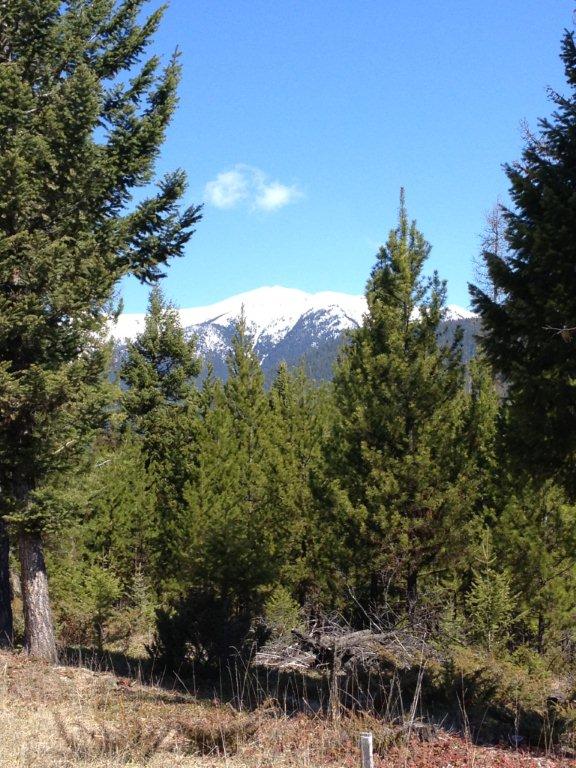 nhn Turtle Trail Road, Eureka, MT 59917