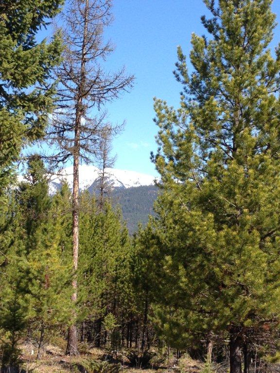 nhn Turtle Trail Road, Eureka, MT 59917