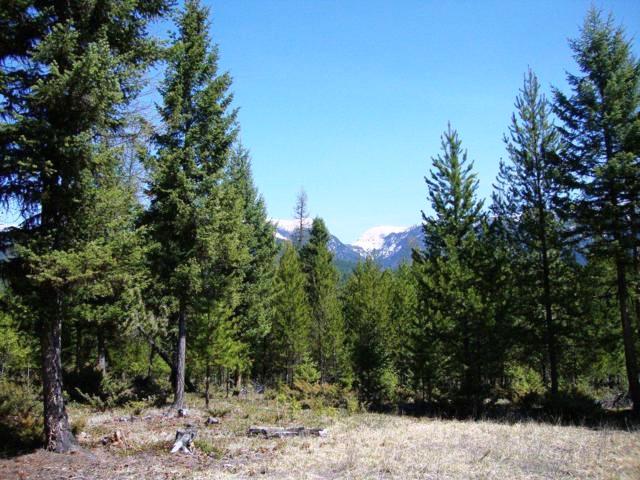 nhn Turtle Trail Road, Eureka, MT 59917