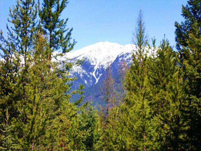 nhn Turtle Trail Road, Eureka, MT 59917