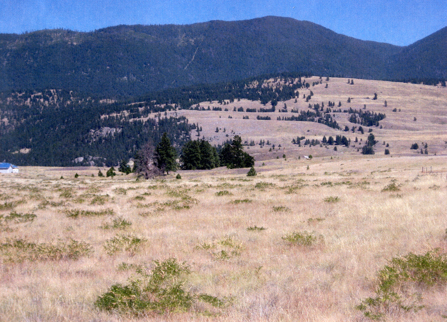NHN AIRPORT ROAD, Eureka, MT 59917