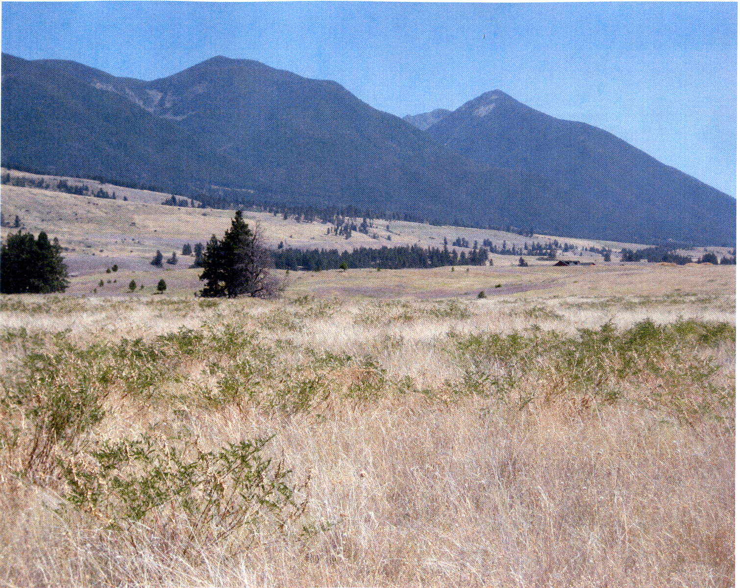 NHN AIRPORT ROAD, Eureka, MT 59917
