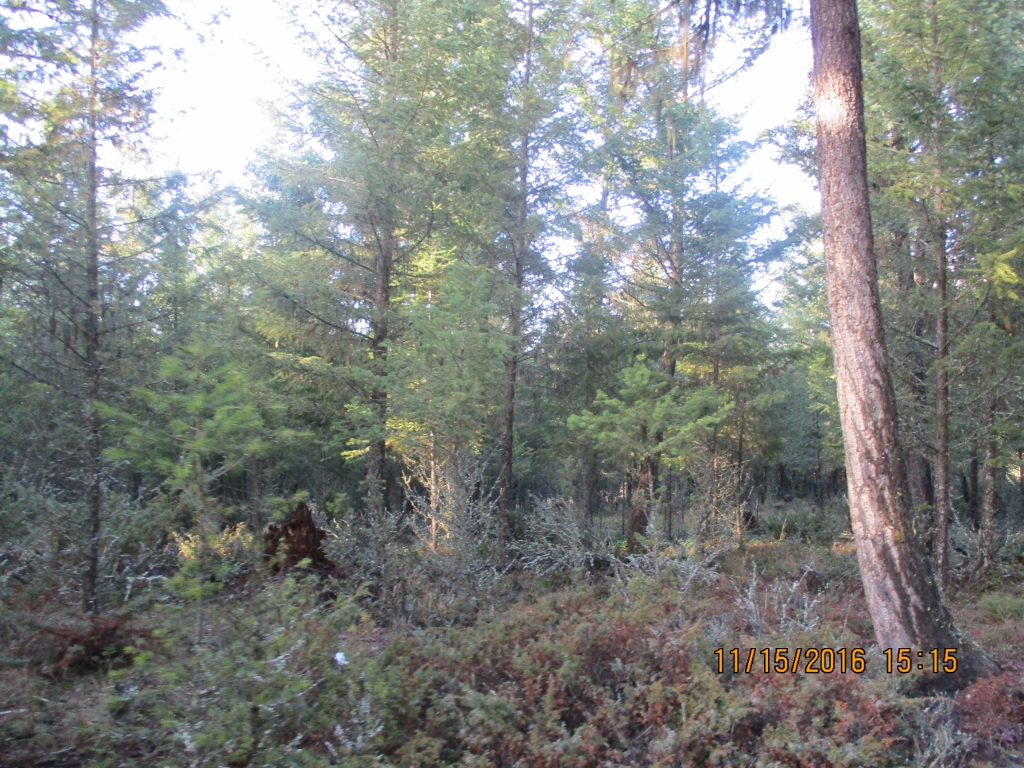 NHN EVERGREEN DRIVE, Eureka, MT 59917