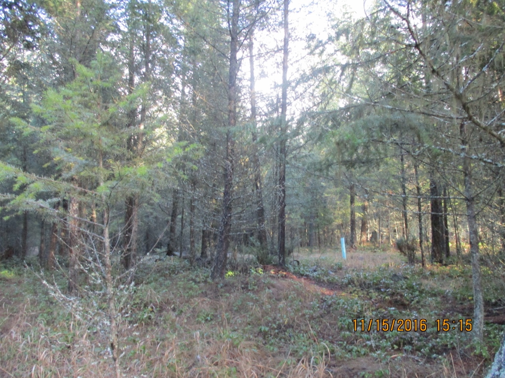 NHN EVERGREEN DRIVE, Eureka, MT 59917