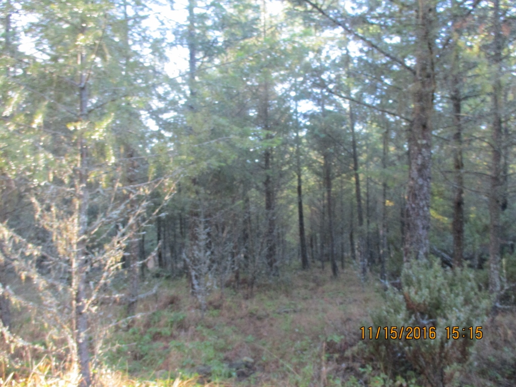 NHN EVERGREEN DRIVE, Eureka, MT 59917