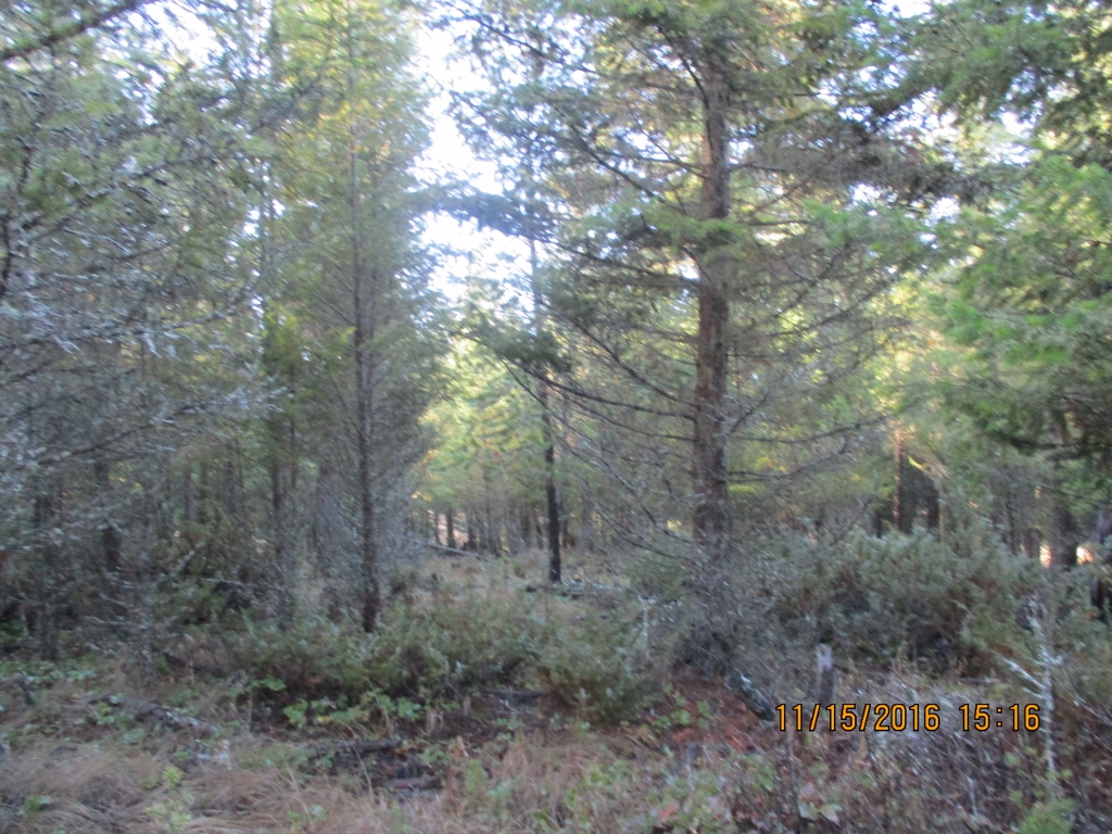 NHN EVERGREEN DRIVE, Eureka, MT 59917