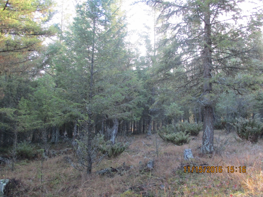 NHN EVERGREEN DRIVE, Eureka, MT 59917