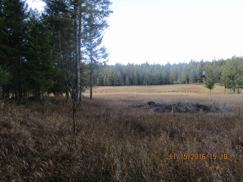 NHN EVERGREEN DRIVE, Eureka, MT 59917
