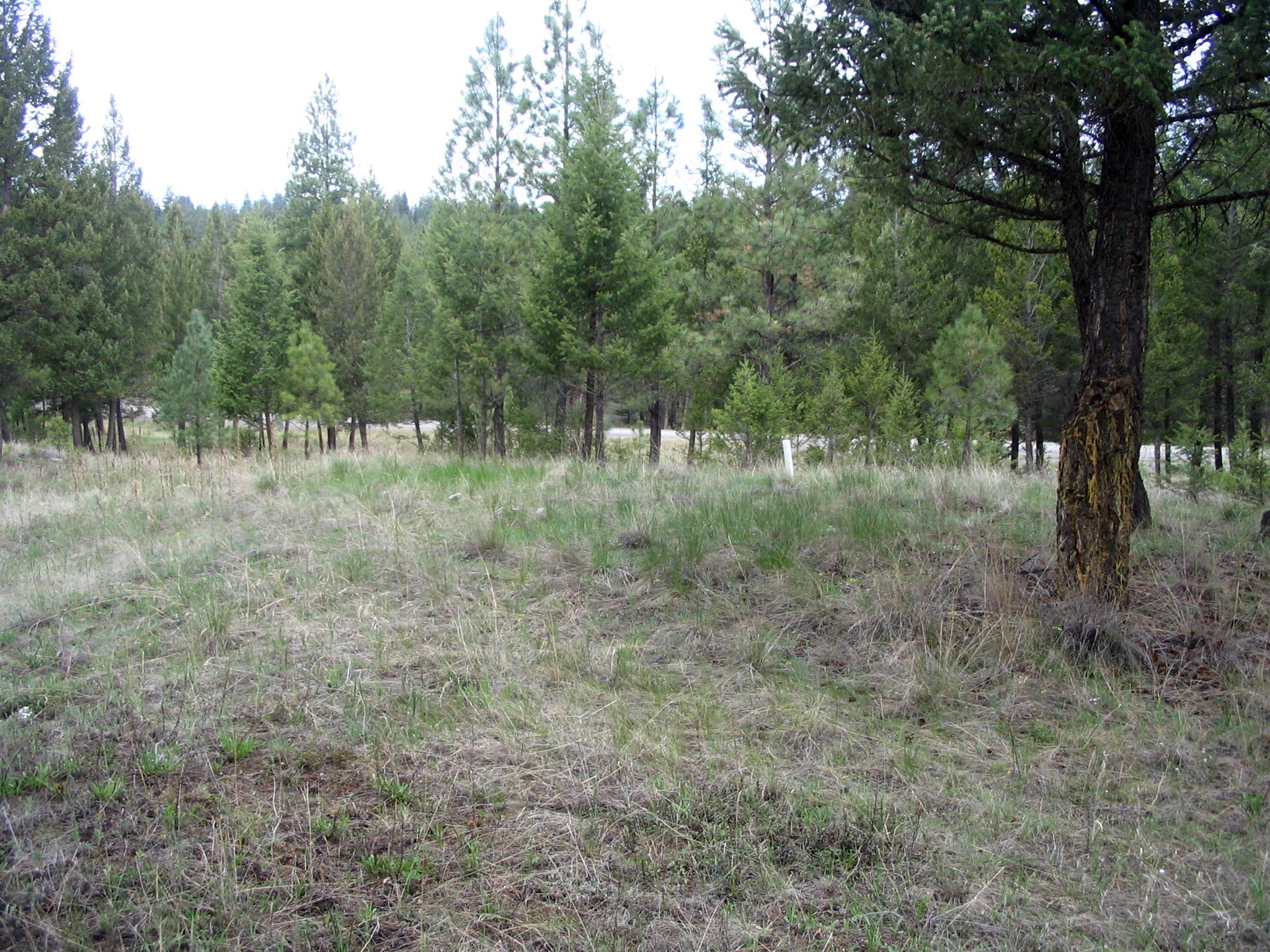 59 CANVIEW DRIVE, Eureka, MT 59917