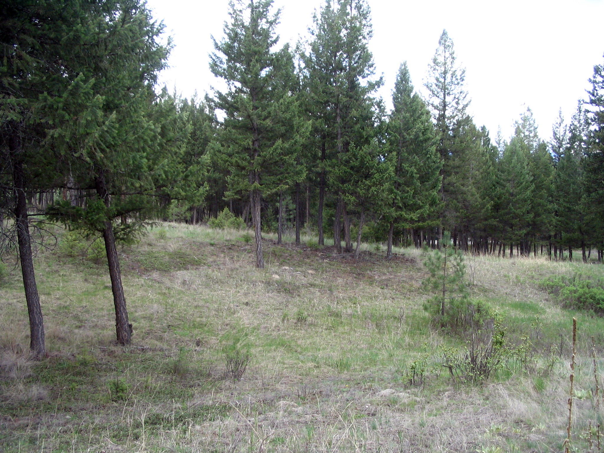 59 CANVIEW DRIVE, Eureka, MT 59917