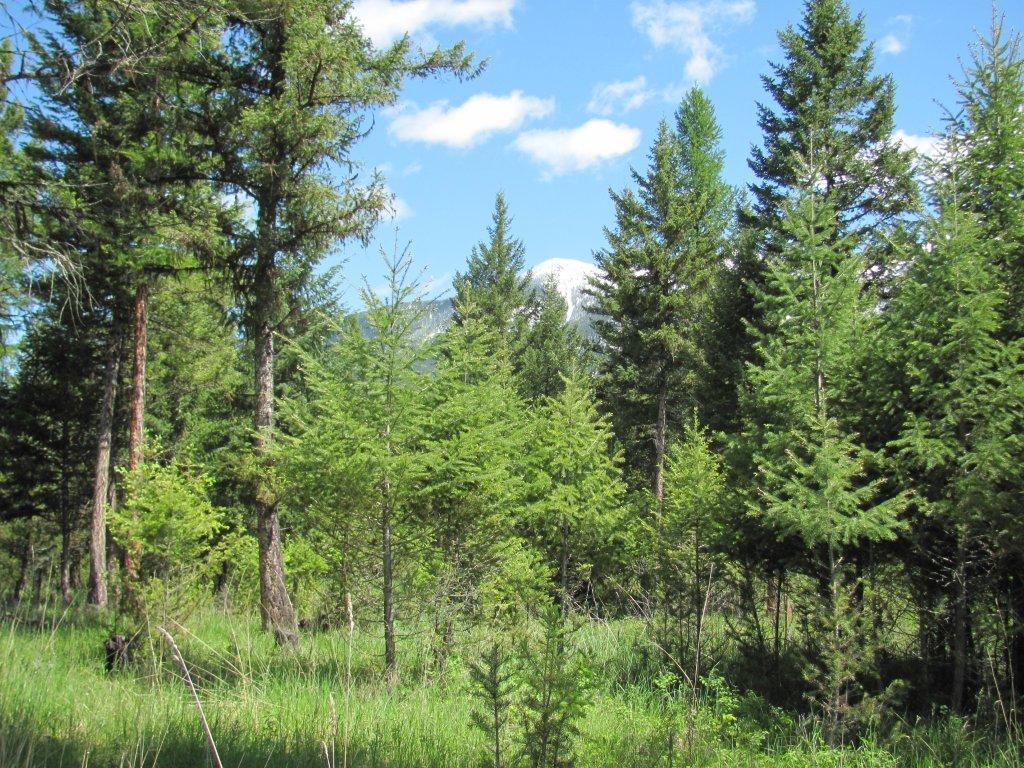 NHN SINCLAIR CREEK ROAD, Eureka, MT 59917