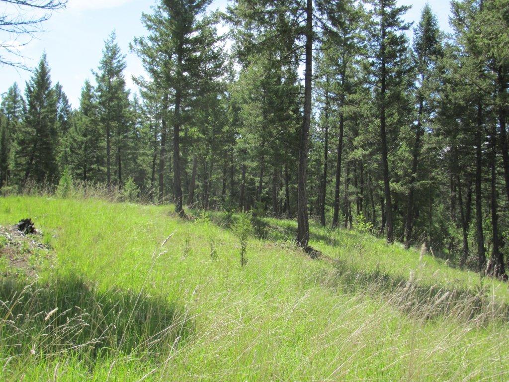 NHN SINCLAIR CREEK ROAD, Eureka, MT 59917