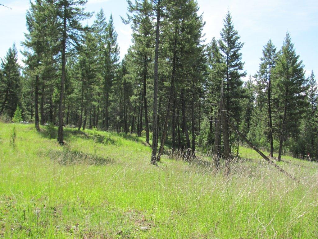 NHN SINCLAIR CREEK ROAD, Eureka, MT 59917