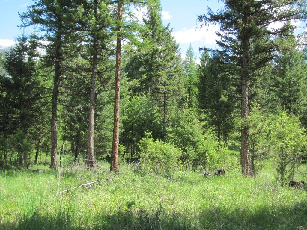 NHN SINCLAIR CREEK ROAD, Eureka, MT 59917