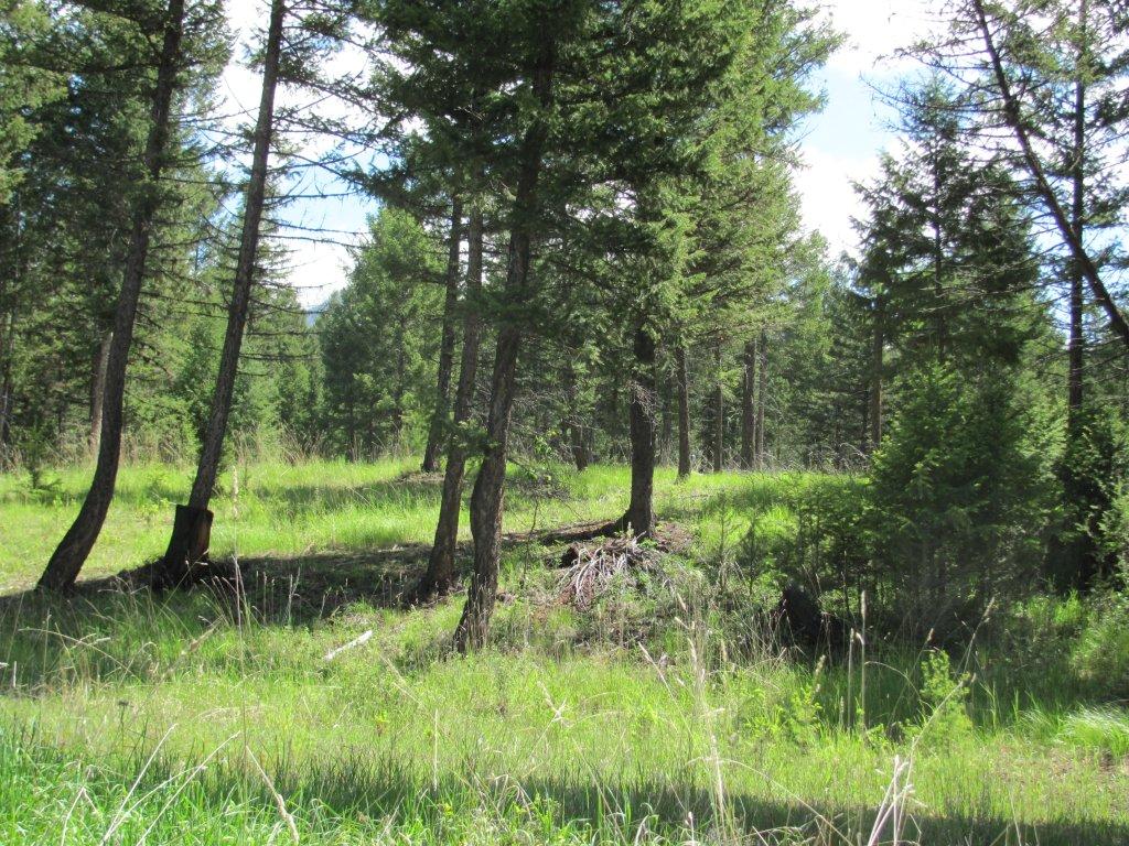 NHN SINCLAIR CREEK ROAD, Eureka, MT 59917