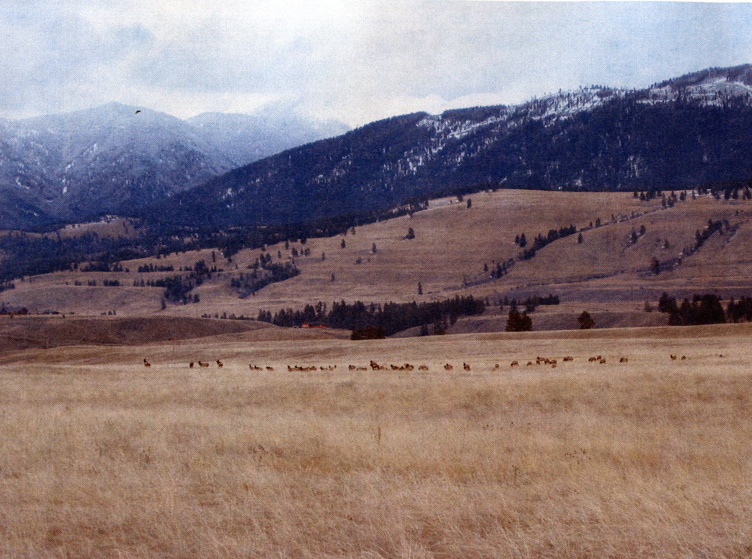 NHN AIRPORT ROAD, Eureka, MT 59917