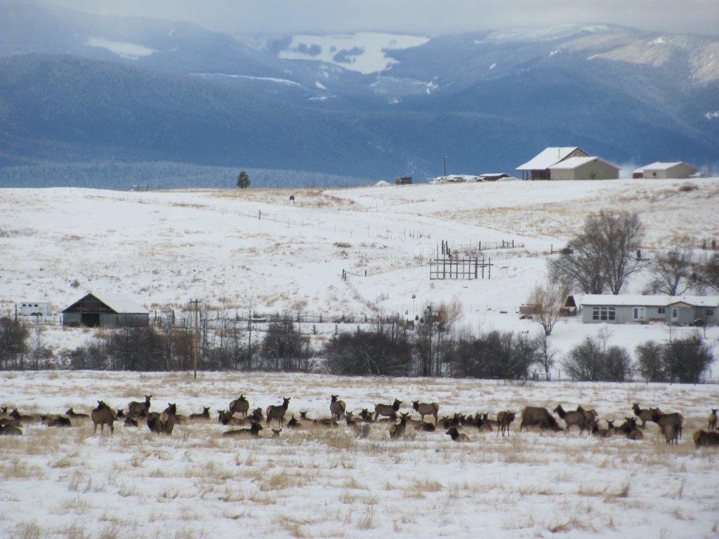 NHN AIRPORT ROAD, Eureka, MT 59917